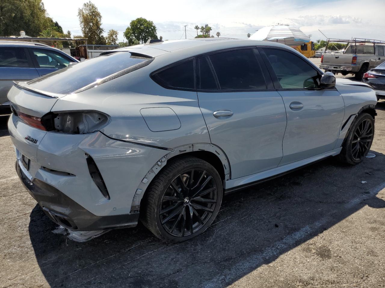2025 BMW X6