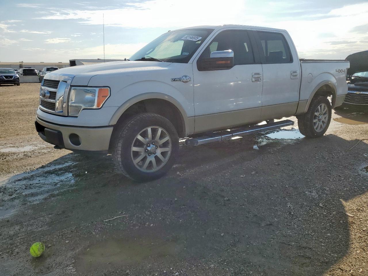 2009 FORD F-150