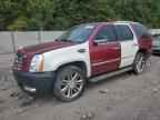 2008 CADILLAC ESCALADE