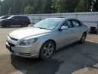 2009 CHEVROLET MALIBU