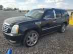 2009 CADILLAC ESCALADE