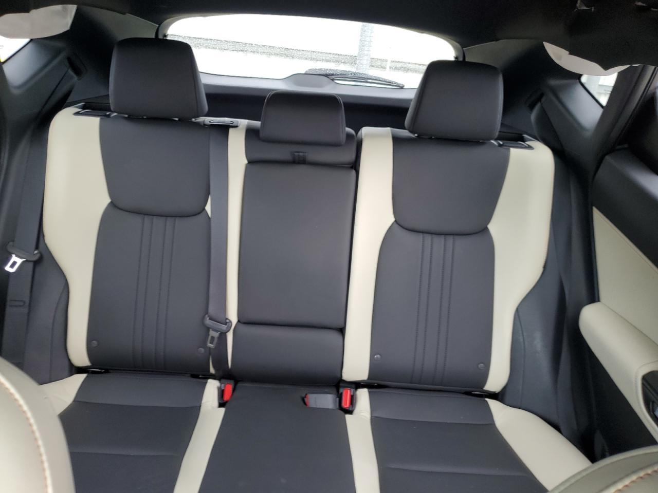2024 LEXUS NX 250