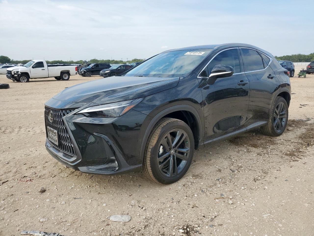 2025 LEXUS Nx