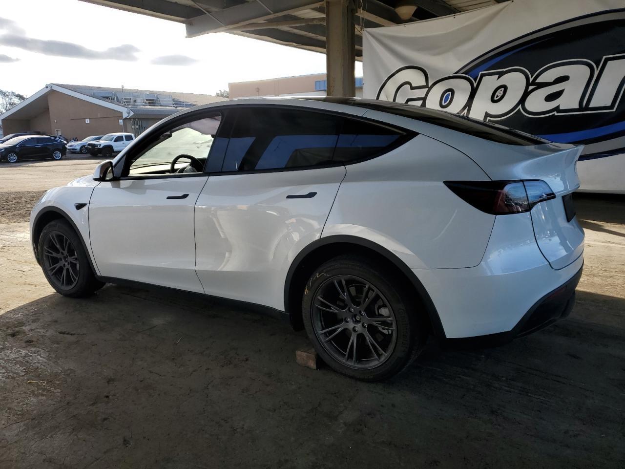 2024 TESLA MODEL Y