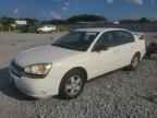 2005 CHEVROLET MALIBU