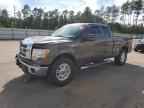 2009 FORD F-150
