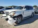 2005 LEXUS Gx
