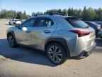 2021 LEXUS Ux