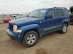 2010 JEEP Liberty