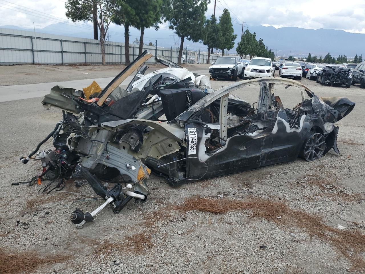 2023 TESLA MODEL 3