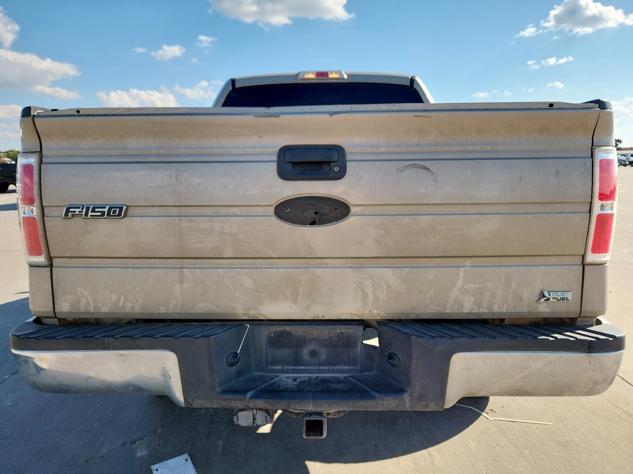 2010 FORD F-150