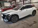 2024 LEXUS Rz