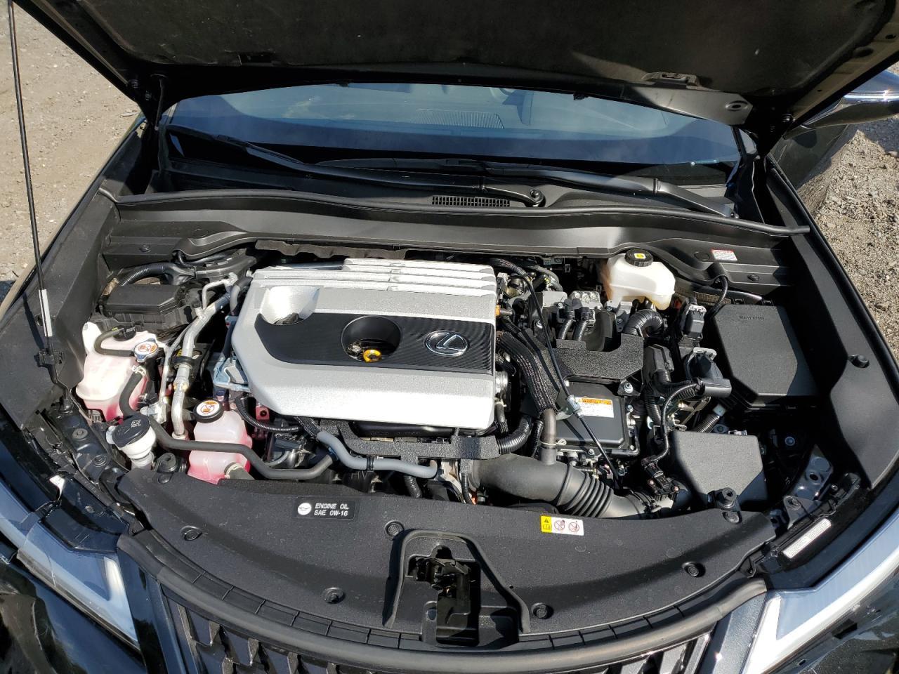 2024 LEXUS UX 250H