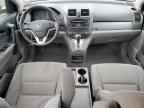 2010 HONDA CR-V