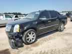 2010 CADILLAC ESCALADE