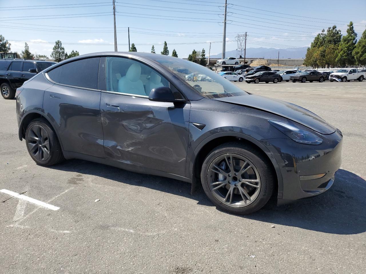2025 TESLA MODEL Y