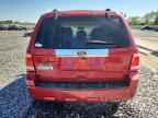 2010 FORD ESCAPE