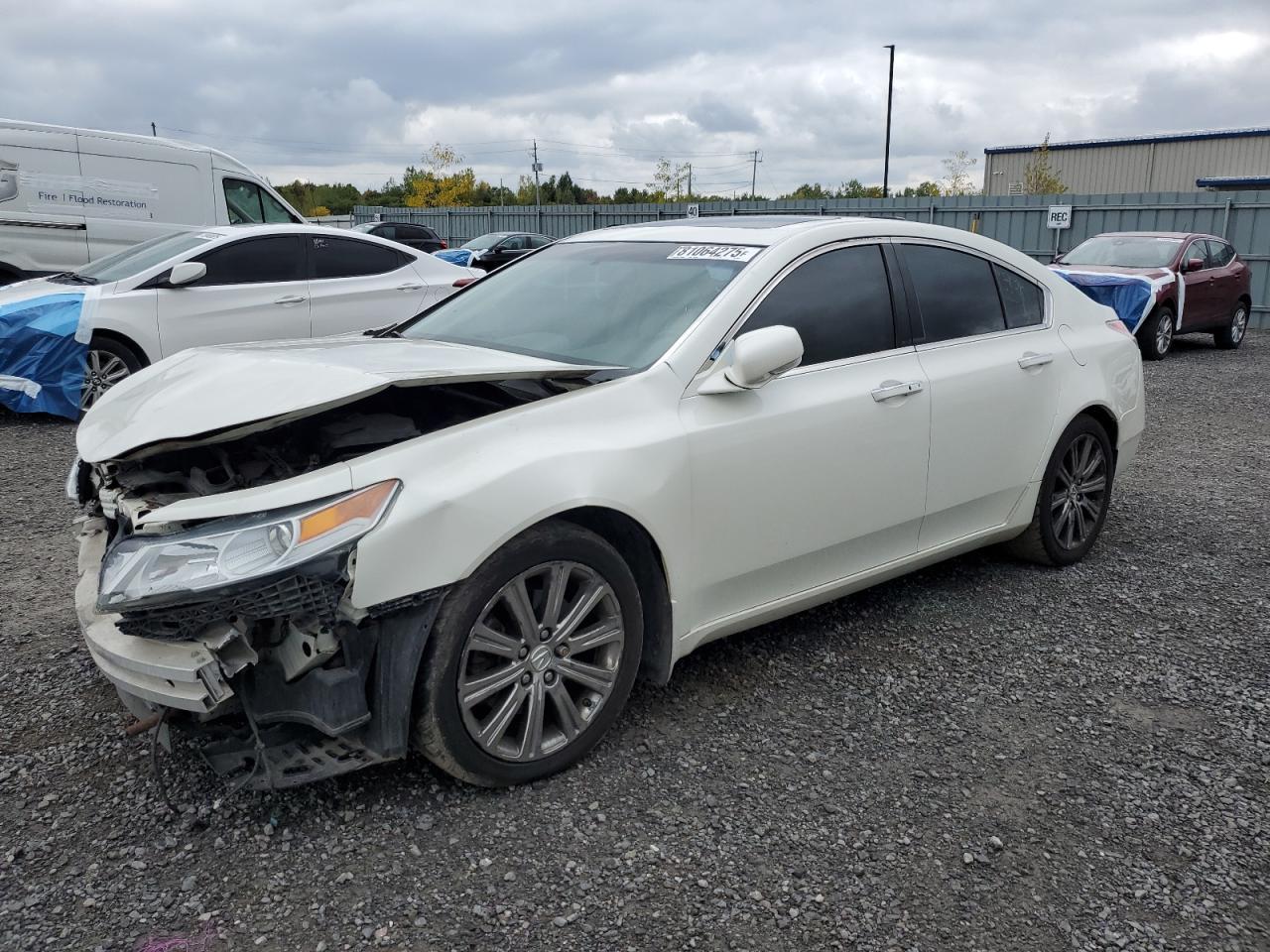 2009 ACURA TL