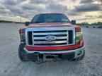 2009 FORD F-150