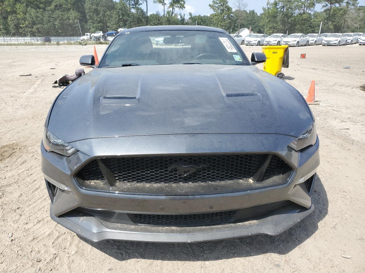 2019 FORD MUSTANG