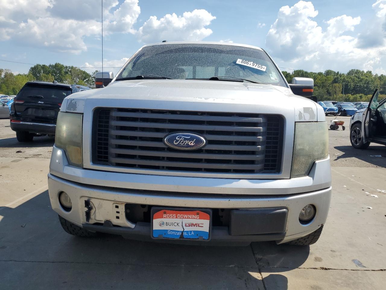 2010 FORD F-150