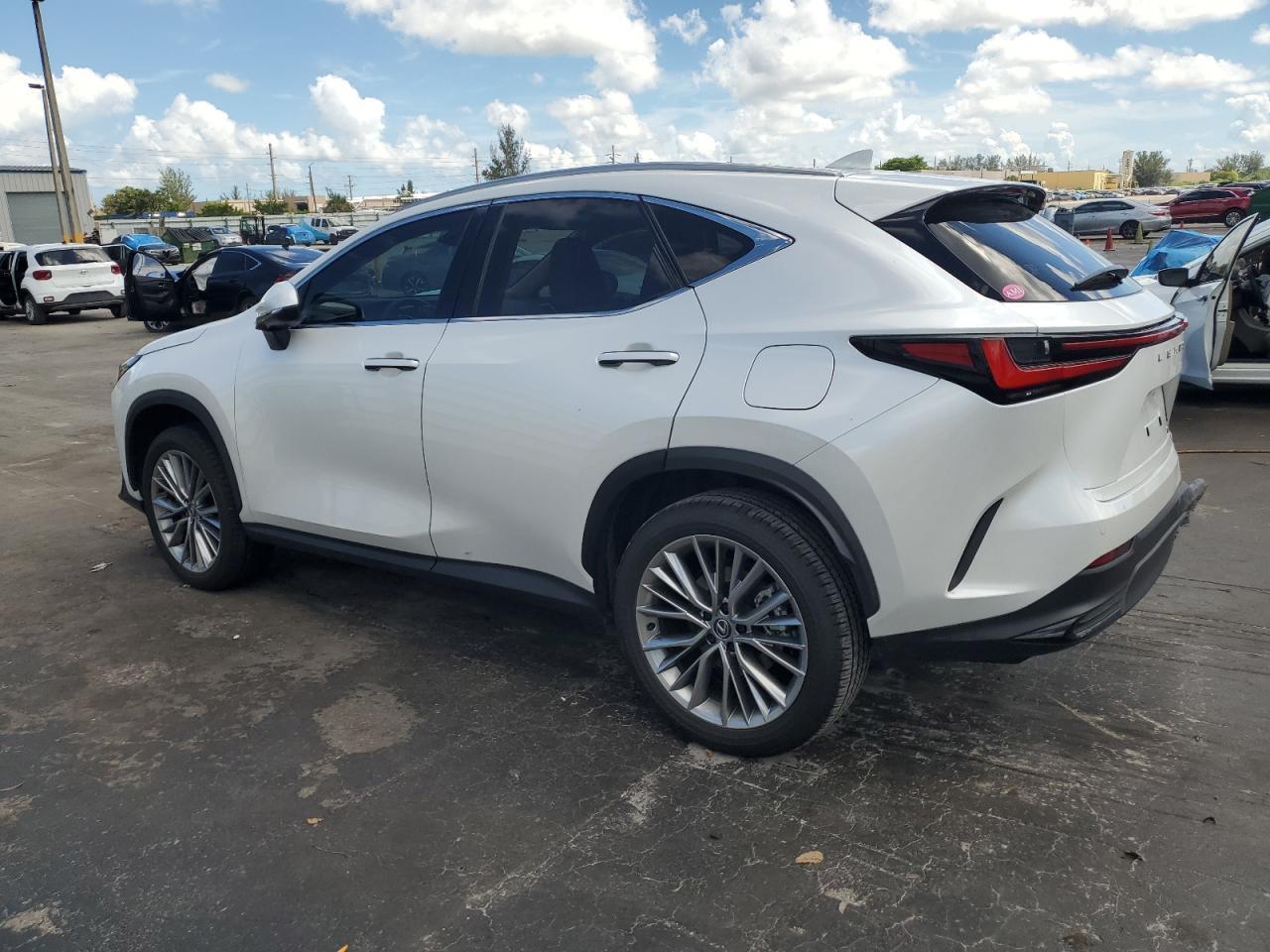 2025 LEXUS Nx