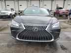 2024 LEXUS Es