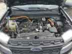 2024 FORD Maverick