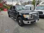2009 FORD F-150