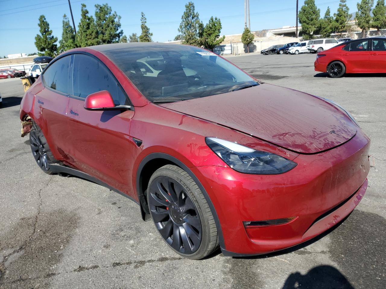 2024 TESLA MODEL Y