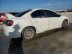 2005 DODGE Neon
