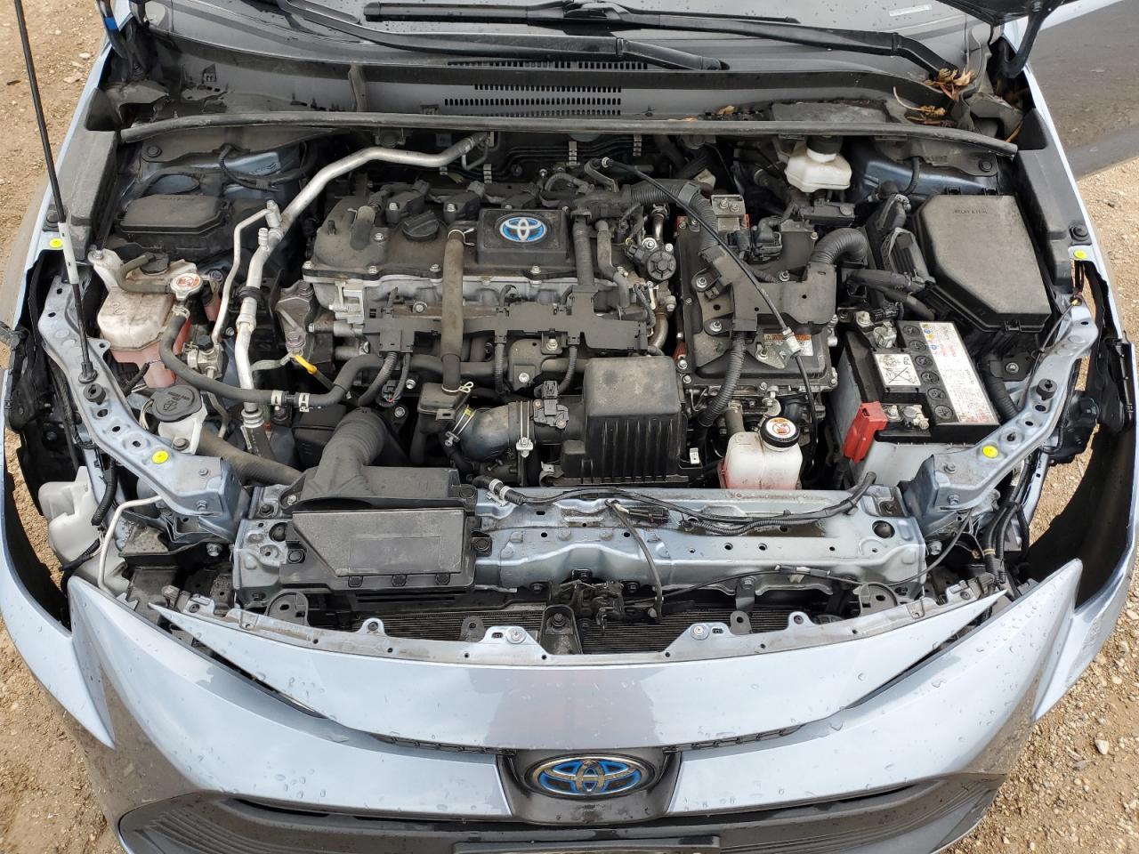 2023 TOYOTA COROLLA
