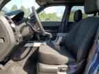 2010 FORD ESCAPE