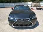 2025 LEXUS ES 350