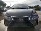 2019 LEXUS Nx