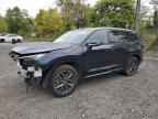 2025 LEXUS Tx