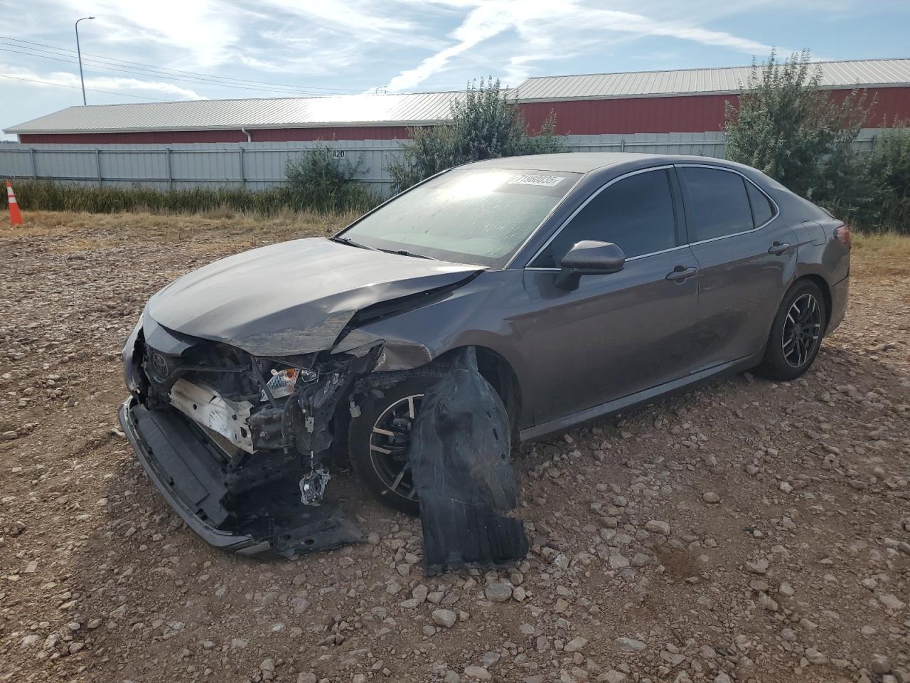 2019 TOYOTA CAMRY