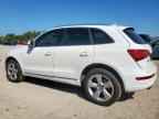 2013 AUDI Q5
