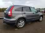 2010 HONDA CR-V