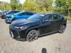 2024 LEXUS UX 250H