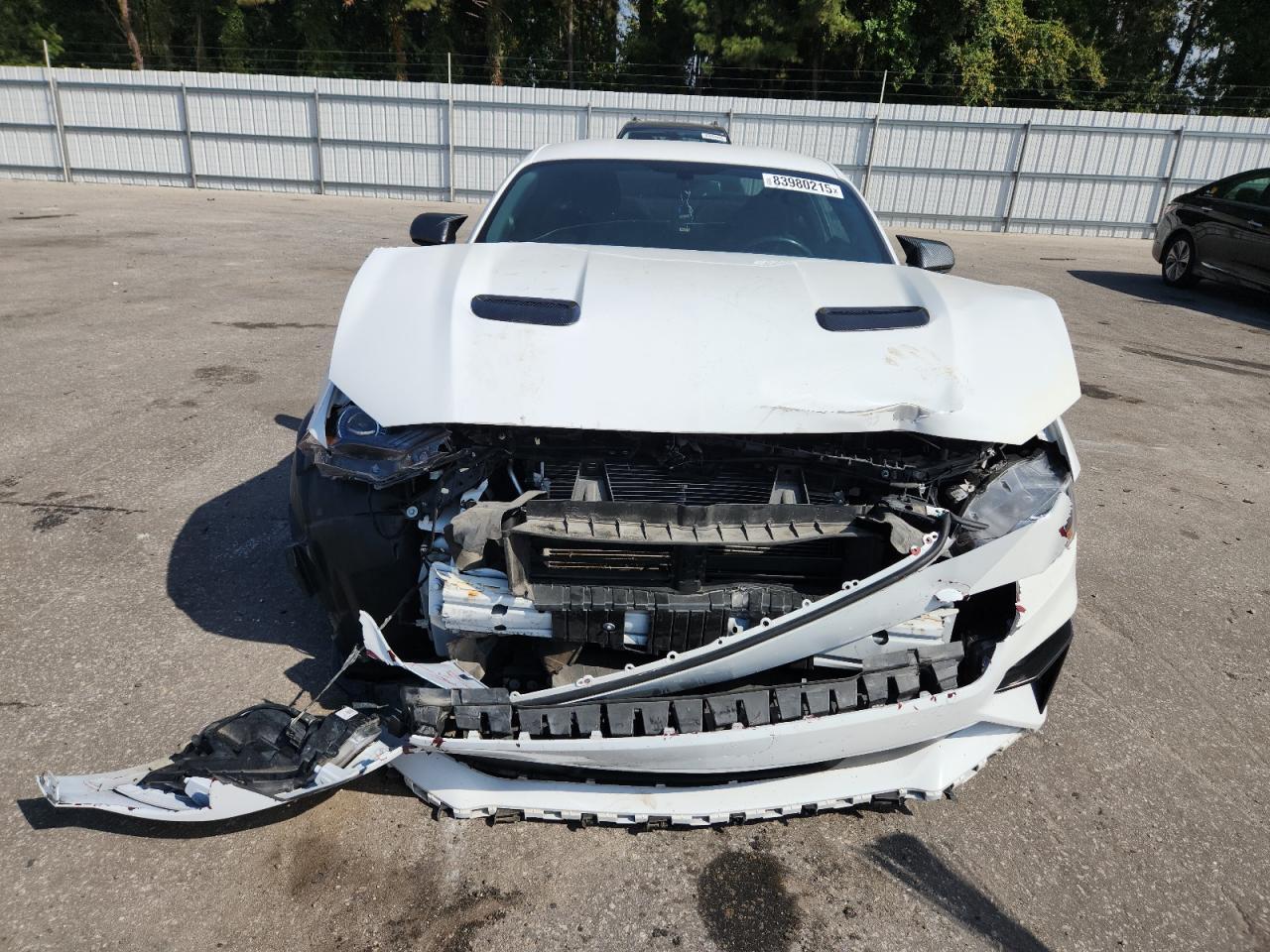 2019 FORD MUSTANG