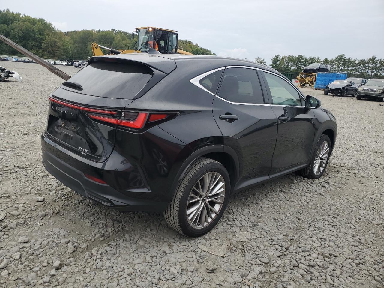 2025 LEXUS NX 350