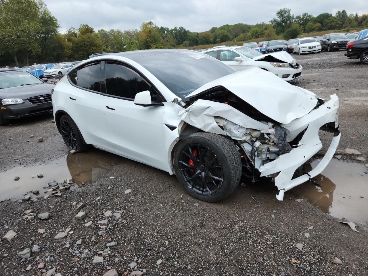 2022 TESLA MODEL Y