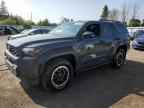2025 TOYOTA 4Runner