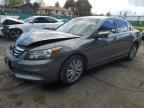 2011 HONDA ACCORD