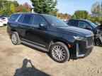 2022 CADILLAC ESCALADE