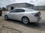 2014 NISSAN Maxima
