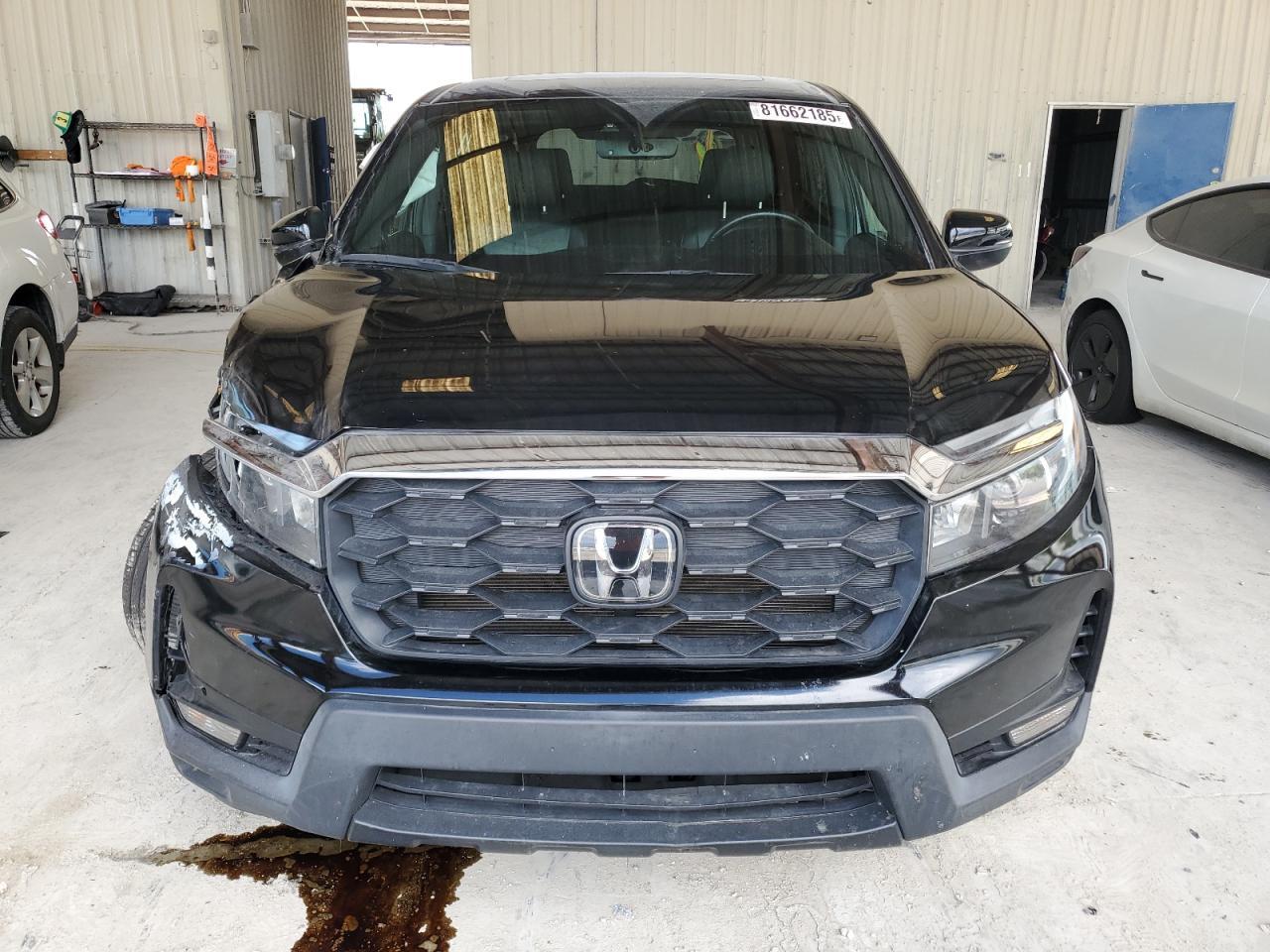 2022 HONDA Passport