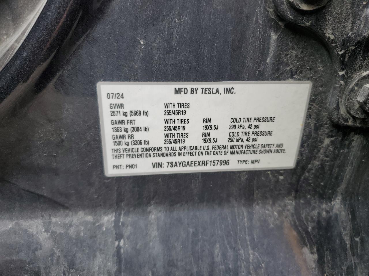 2024 TESLA MODEL Y
