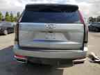 2024 CADILLAC ESCALADE
